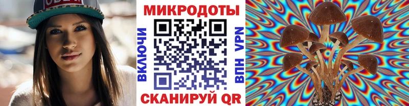 Псилоцибиновые грибы Psilocybe  сколько стоит  Удачный 